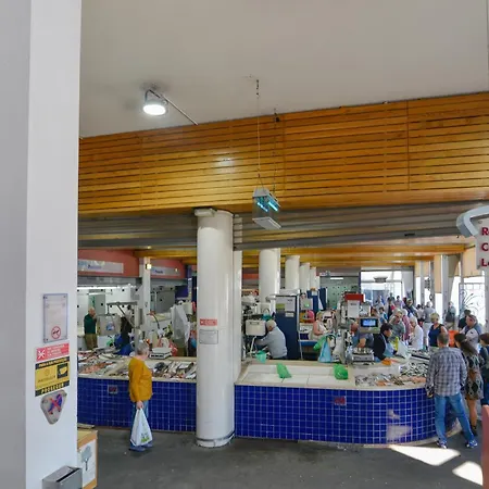 Apartment Sunshine Days *